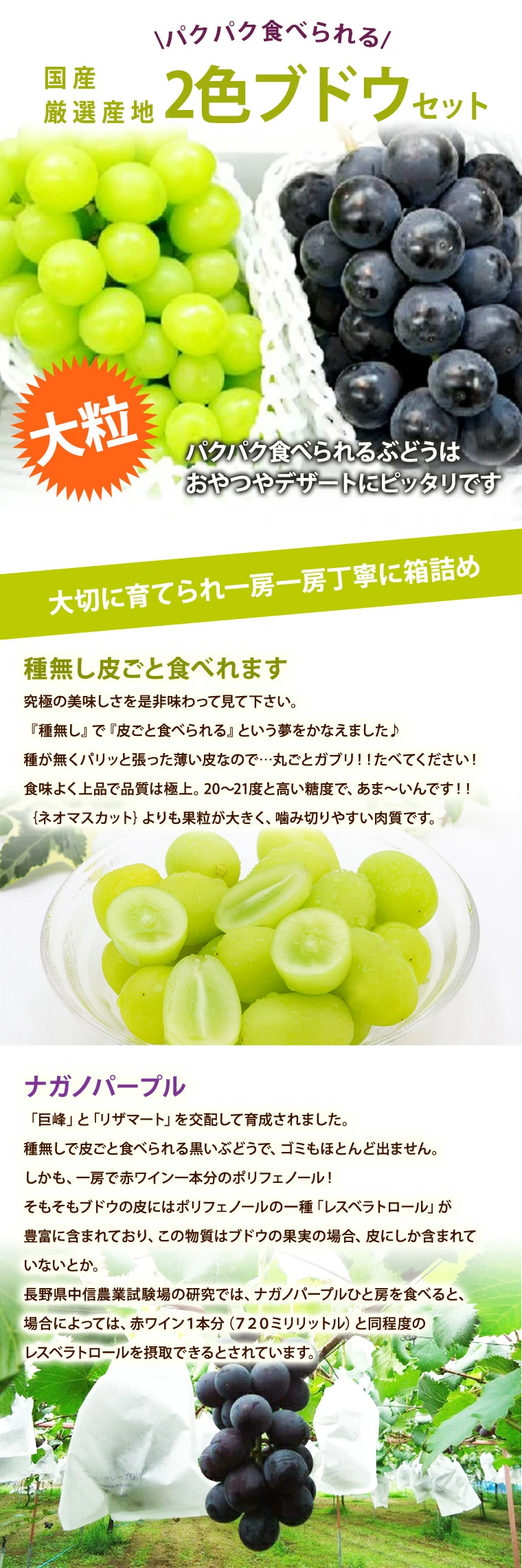2色ぶどうセット