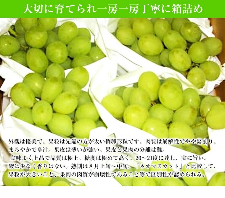 大切に育てられ丁寧に箱詰め