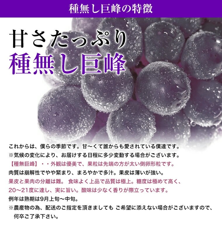 種なし巨峰の特徴