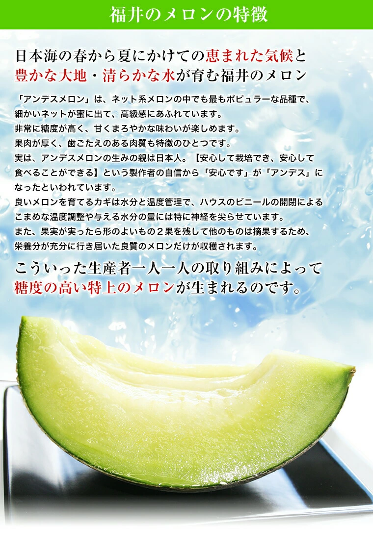 福井のメロンの特徴