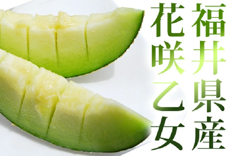 福井県産花咲乙女メロン