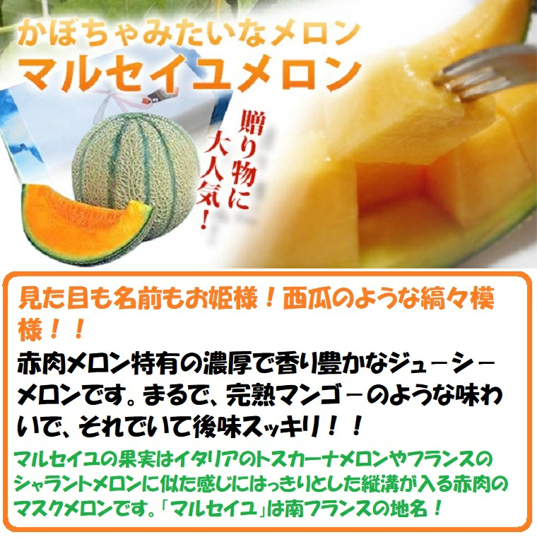 マルセイユメロンについて