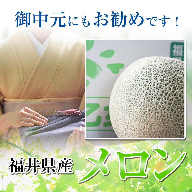 お中元にもおすすめです。福井県産メロン