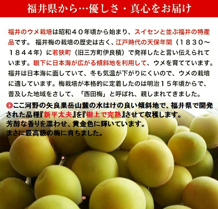 福井県から　2kg 5kg 使用