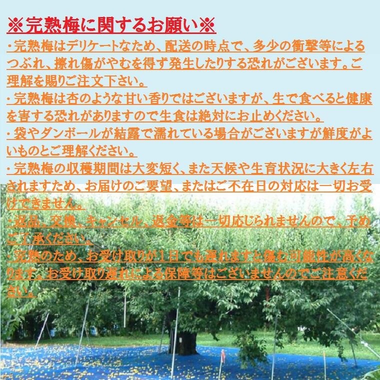 完熟梅に関するお願い　2kg 5kg 使用