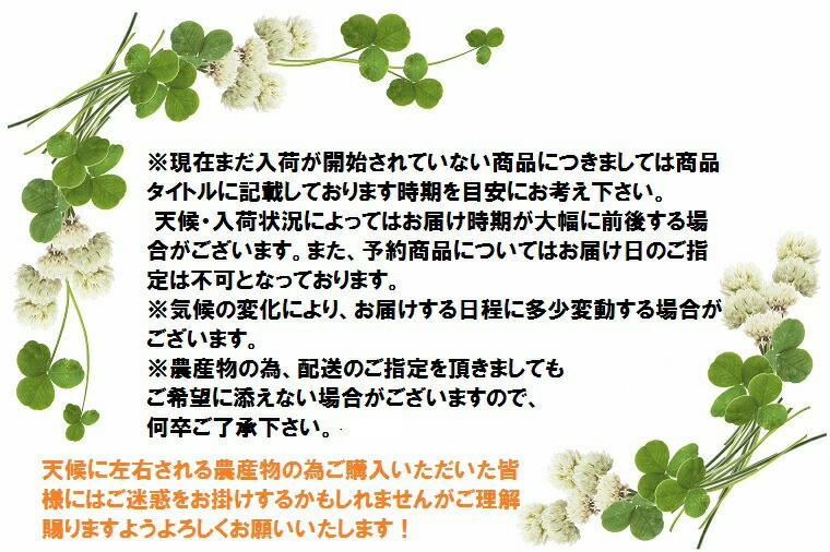 予約商品につきましてはタイトルに入荷時期の目安を記載しております。また、お届け日のご指定は不可です。