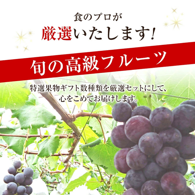 食のプロが厳選