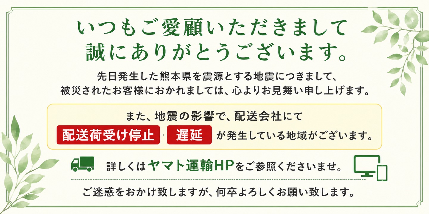 地震遅延.jpg