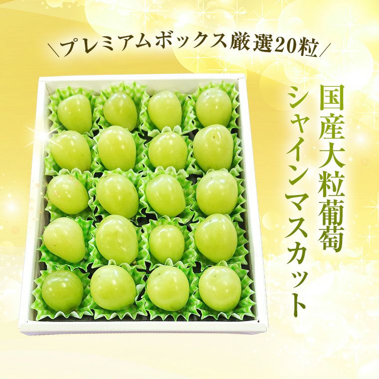 000000000023-01.jpg?size=l&w=