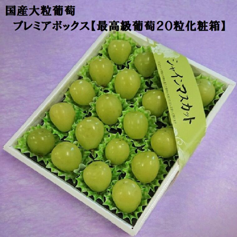 000000000023-02.jpg?size=l&w=