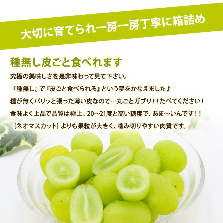 000000000023-04.jpg?size=l&w=