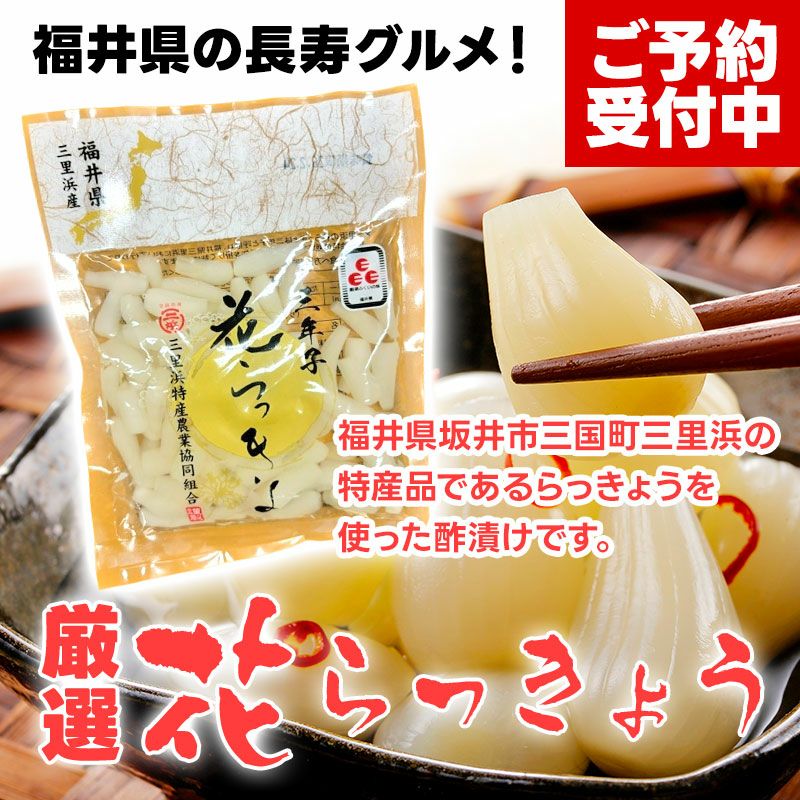 福井県三里浜「三年子花らっきょ」70g×10袋セット | フルーツギフトの