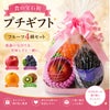 果物ギフト　フルーツプチギフトセット４種　食の宝石箱