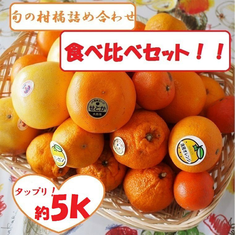 訳ありB級果物セット約5K箱 旬の柑橘3種類以上お任せ詰め合わせ