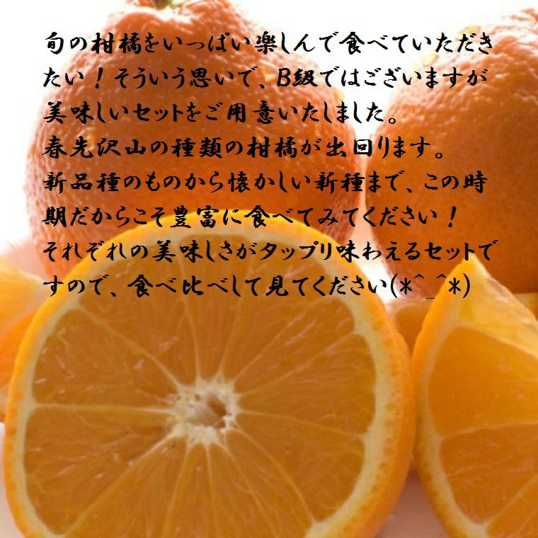 訳ありB級果物セット約5K箱 旬の柑橘3種類以上お任せ詰め合わせ
