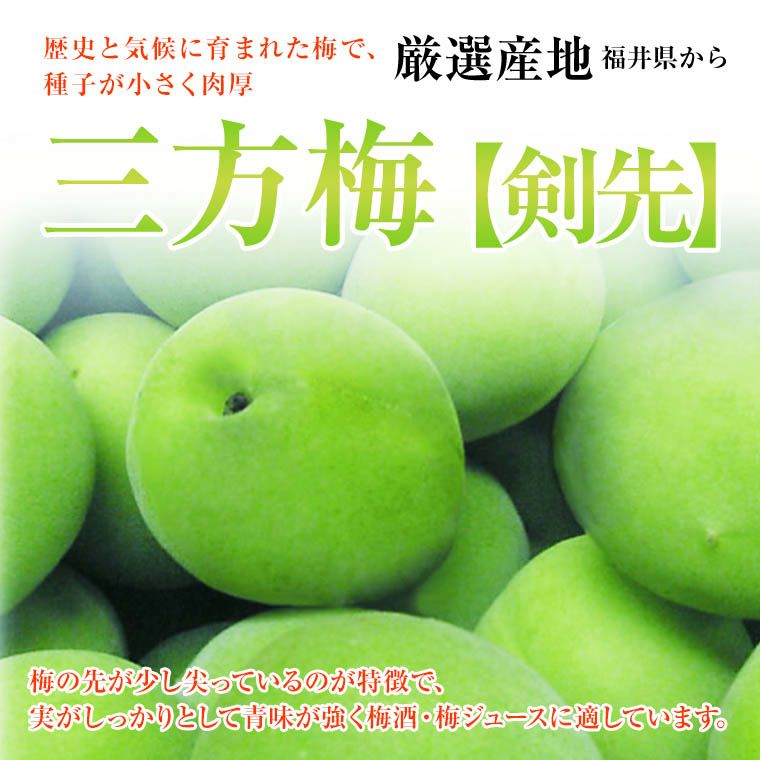 福井梅 新平太夫 通販 福井くいしんぼ市場