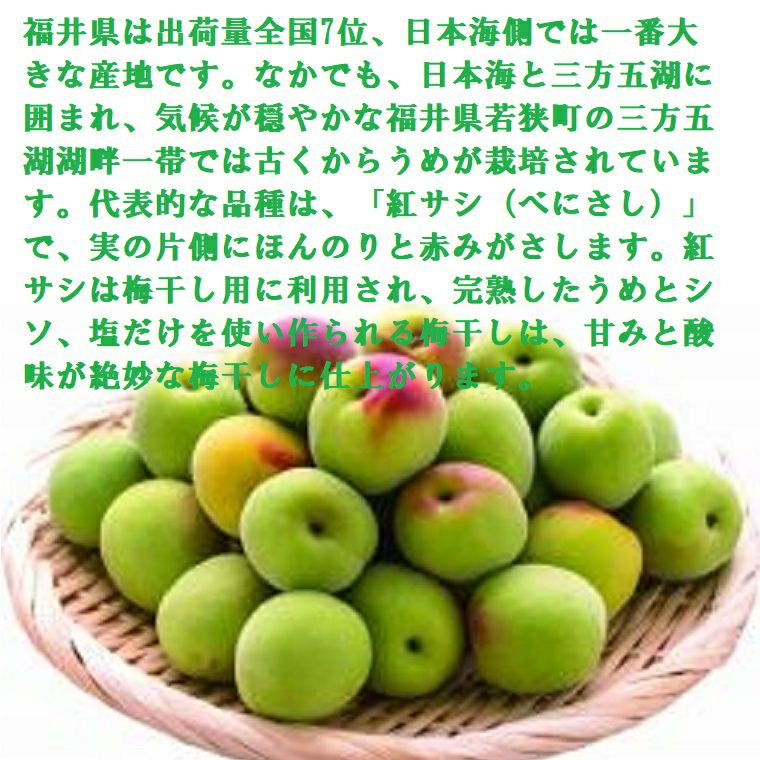 000000000128-02.jpg?size=l&w=
