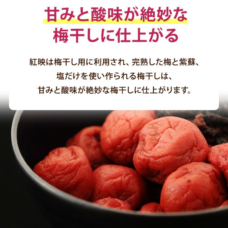 【6/10収穫】福井県産　紅映梅３Ｌ　４kg 福井梅 三方梅 紅映梅 べにさしうめ 梅通販 福井くいしんぼ市場