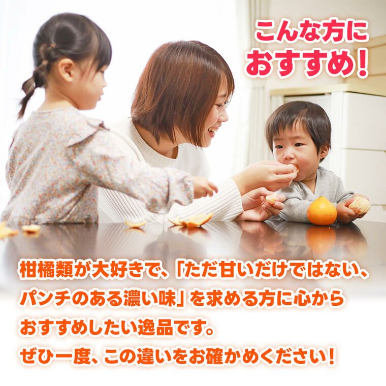 はろうきてぃ　YAMAGUCHI限定　夏みかん　ファスナーアクセサリー2個セット 夏みかんゼリーと夏みかんグミのセット｜山口県長門市の海鮮・肉・特産