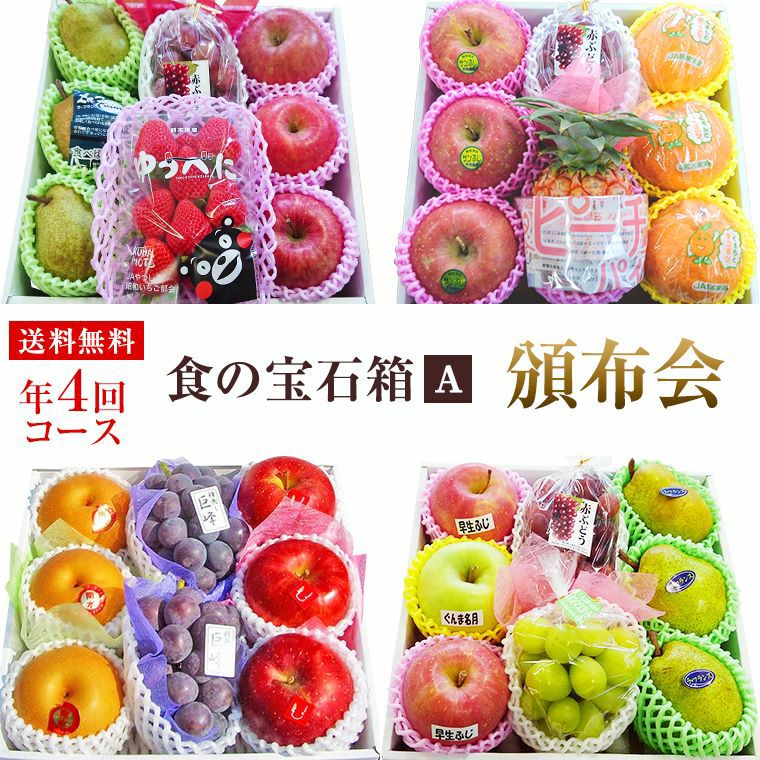 食の宝石箱 フルーツギフト｜福井くいしんぼ市場（公式）